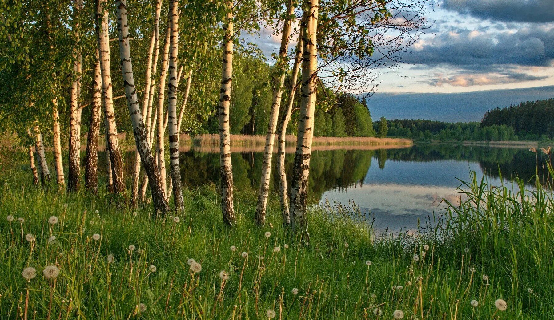 Виднеется речка