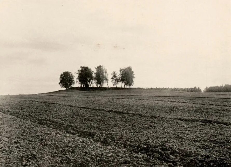 Атакующая сторона. Бородинское поле 1912 фото. Шевардинский редут (деревня Шевардино). Фотографии Бородинского поля 1912 года. Бородинское поле 1941 фото.