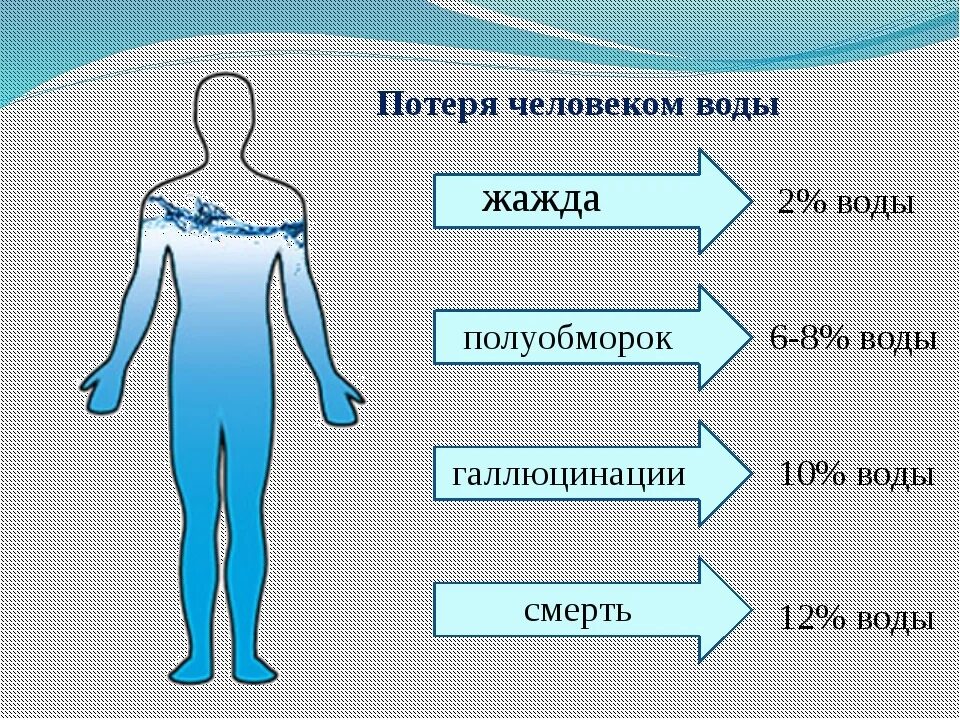 Вода в организме человека. Вода в человеческом теле. Содержание воды в человеке. Вода и человек. Зачем организму вода