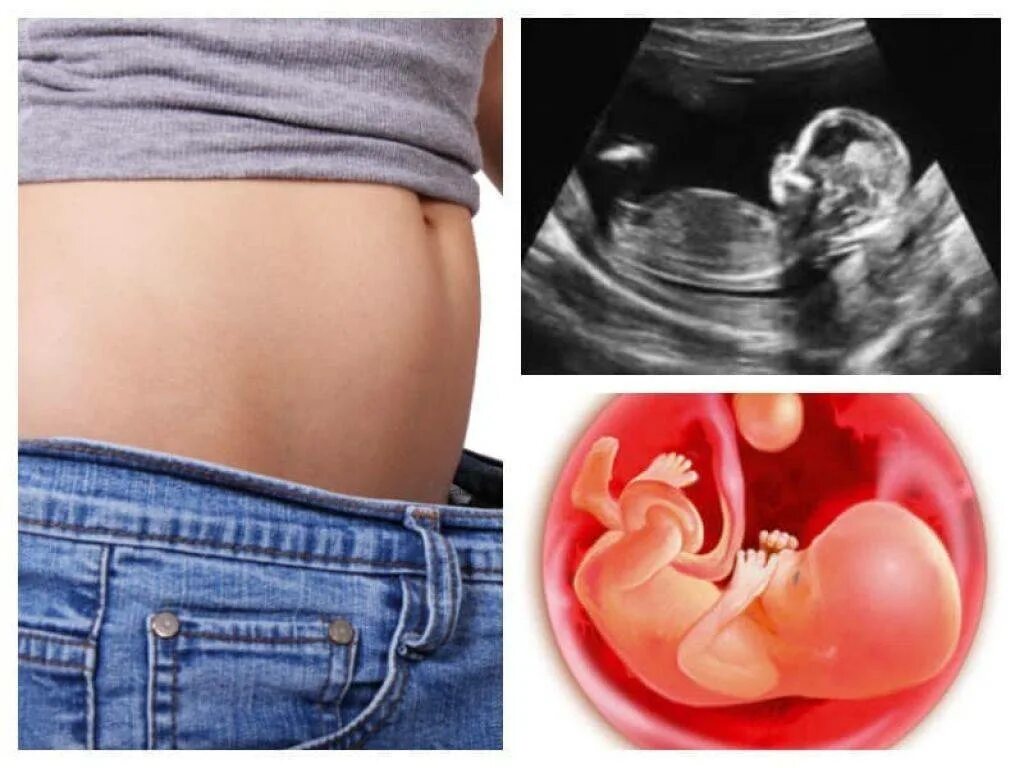 14 недель триместр. Ребёнок на 13 неделе беременности. Ребёнок на 14 неделе беременности.