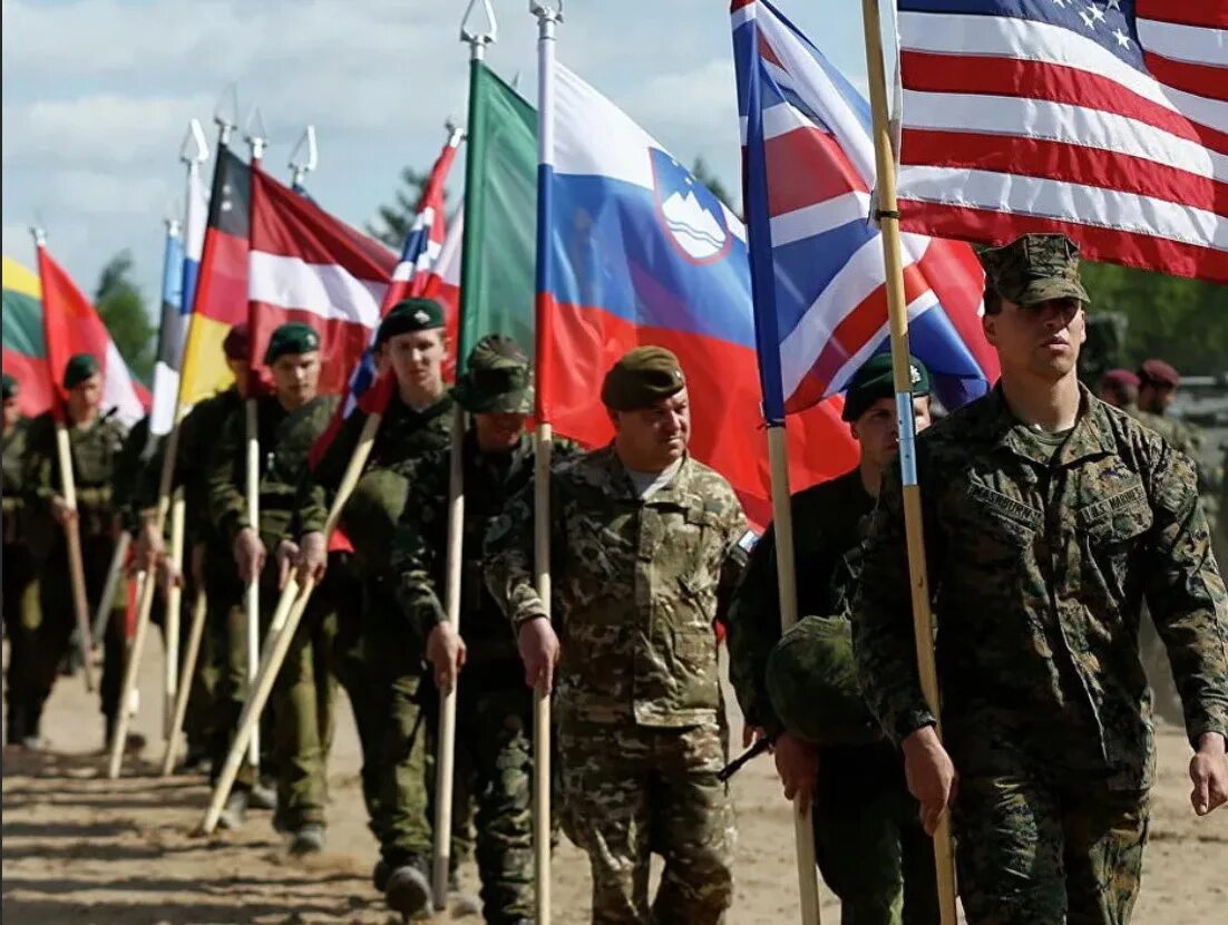 этапы формирования антигитлеровской коалиции. коалиция союз. теория коалиций. коалиция движение. символ коалиции.