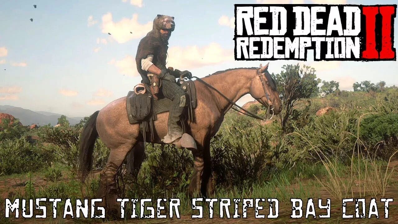 Mustang tiger striped bay coat. Тигровый мустанг в рдр 2. Тигровый мустанг rdr2. Red dead redemption 2 тигровый мустанг. Тигровый мустанг.