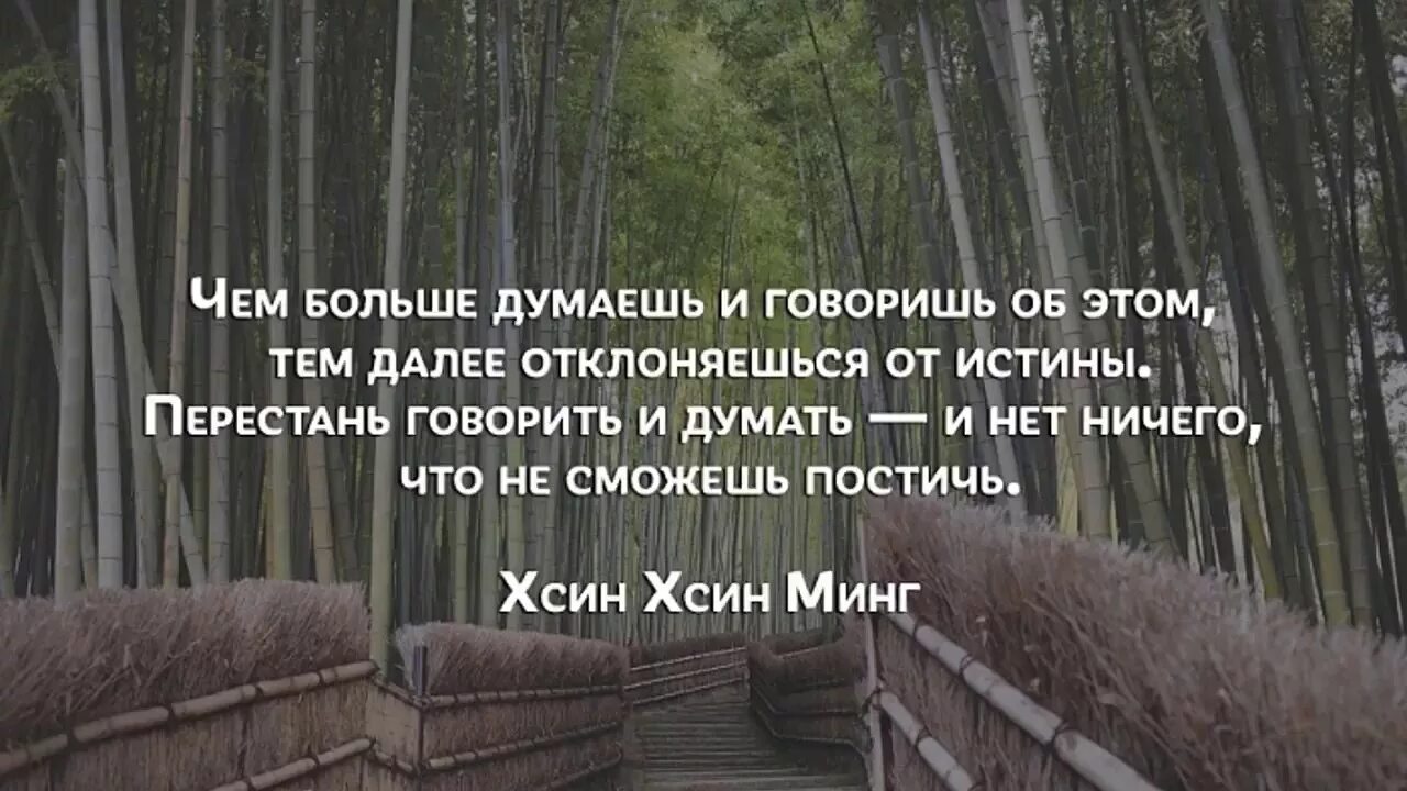Жизнь имеет значение дзен. Дзен цитаты. медитация цитаты и афоризмы. дзен афоризмы. дзен цитаты афоризмы.