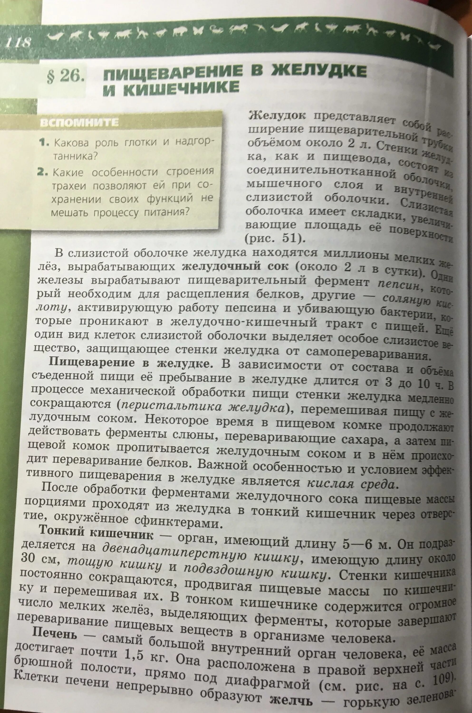 Пасечник каменский 8 класс. Биология 8 класс 26 параграф. Пасечник Каменский Швецов 8 класс. Биология 8 класс Пасечник Каменский Швецов. Биология 6 класс 26 параграф конспект.