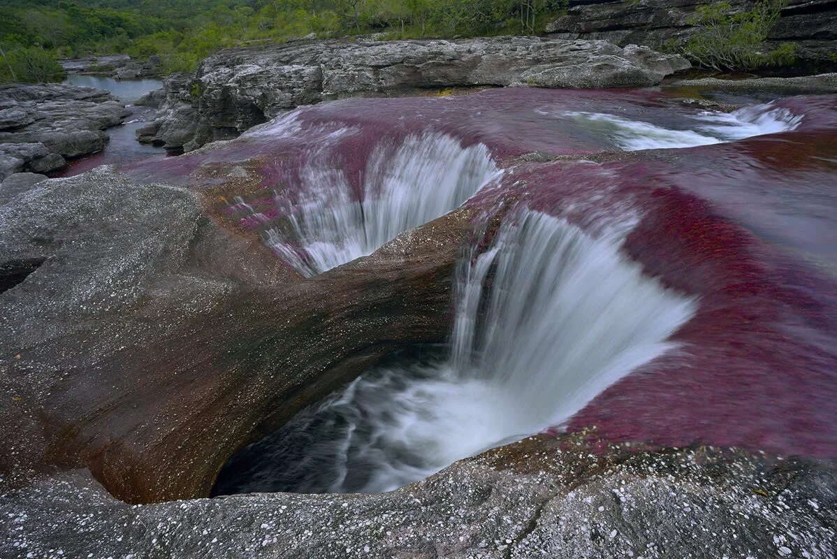 Самая теплая вода в мире. Река Каньо Кристалес. Река Каньо-Кристалес Колумбия. Национальный парк Макарена Колумбия. Сьерра Макарена Колумбия.