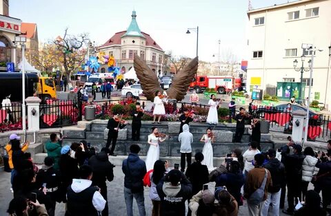 青 岛 小 琴 系 列 - lauraswiftphotography.com.