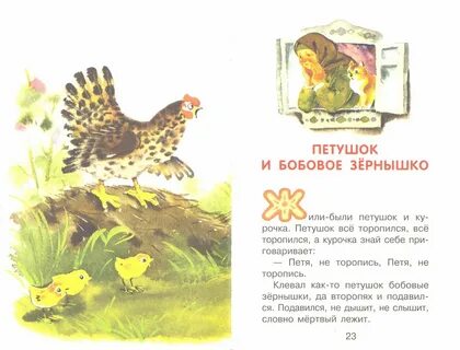 Кто помог курочке спасти петушка