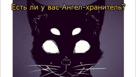 Кошки с четырьмя глазами