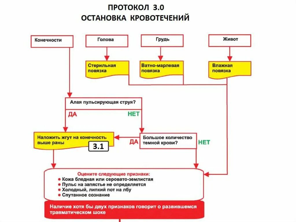 Второй алгоритм оказания первой помощи. Алгоритм оказания медицинской помощи при кровотечениях. алгоритм оказания неотложной помощи при кровотечениях. алгоритм оказания первой при кровотечениях.