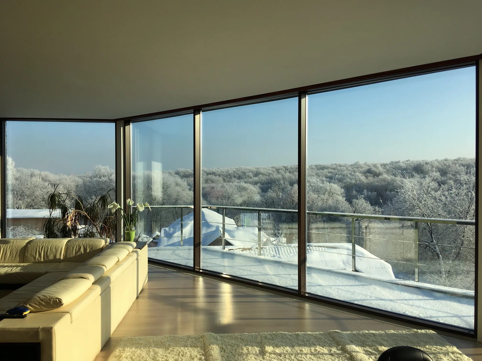 Project window
