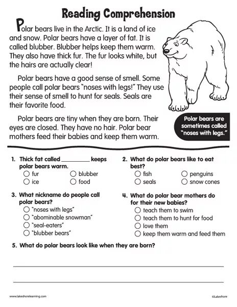 Reading Comprehension животные английский для детей. Reading Comprehension for Kids Polar Bear. Polar Bear Worksheet. About Polar Bear for Kids.