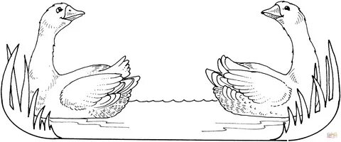 Гуси черно-белые картинки (Много фото!) - artshots.ru