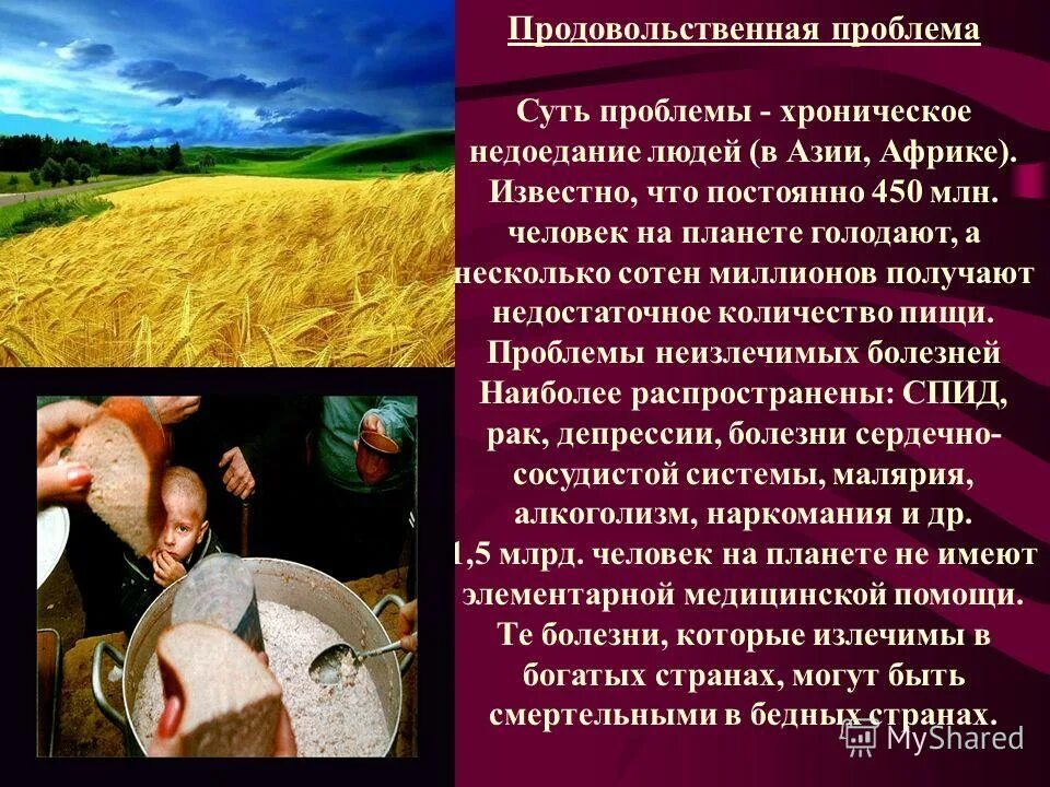 Продовольственная проблема. География продовольственной проблемы. продовольственная проблема суть проблемы. продовольственная проблема в россии. продовольственная проблема в европе.