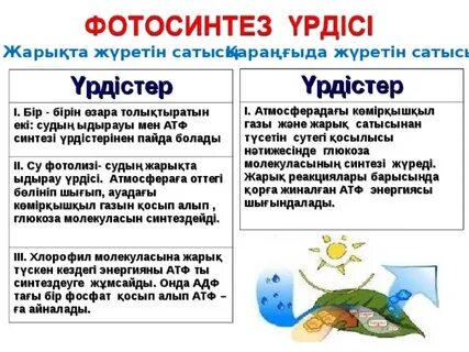 HD сапада Кэмерон Диаспен секс-эротикалық бейне