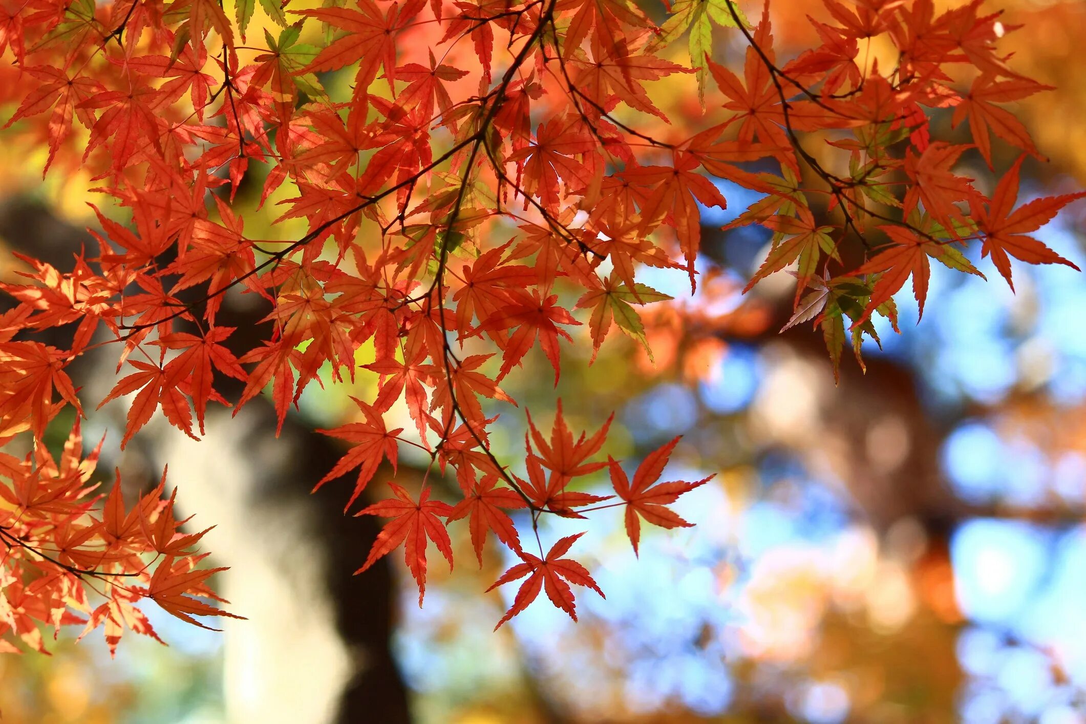 Is a fall