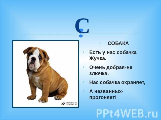 Жучка дремлет в конуре а закончить предложение. Стихотворение про собаку. стих про собаку для детей. собачка жучка. стихотворение про собачку для детей.