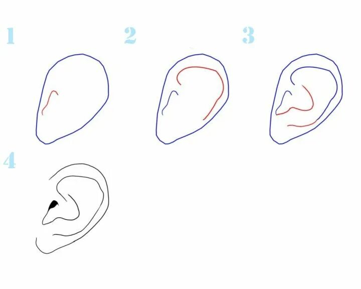 Поэтапное рисование ушей. Уши рисование. Ухо рисунок карандашом поэтапно. Ухо нарисовать. Уши рисование.
