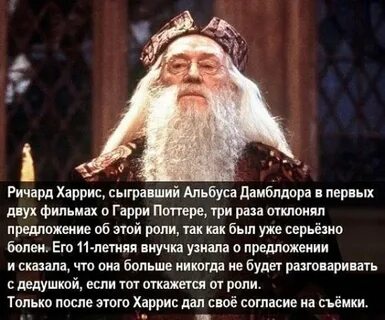 Цитаты дамблдора