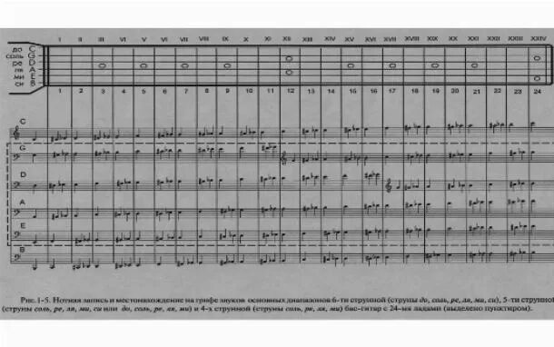 Ноты на бас гитаре 6 струн. Бас гитара диапазон нот. Таблица нот на бас гитаре. Расположение нот на грифе по октавам. Ноты семиструнной гитары