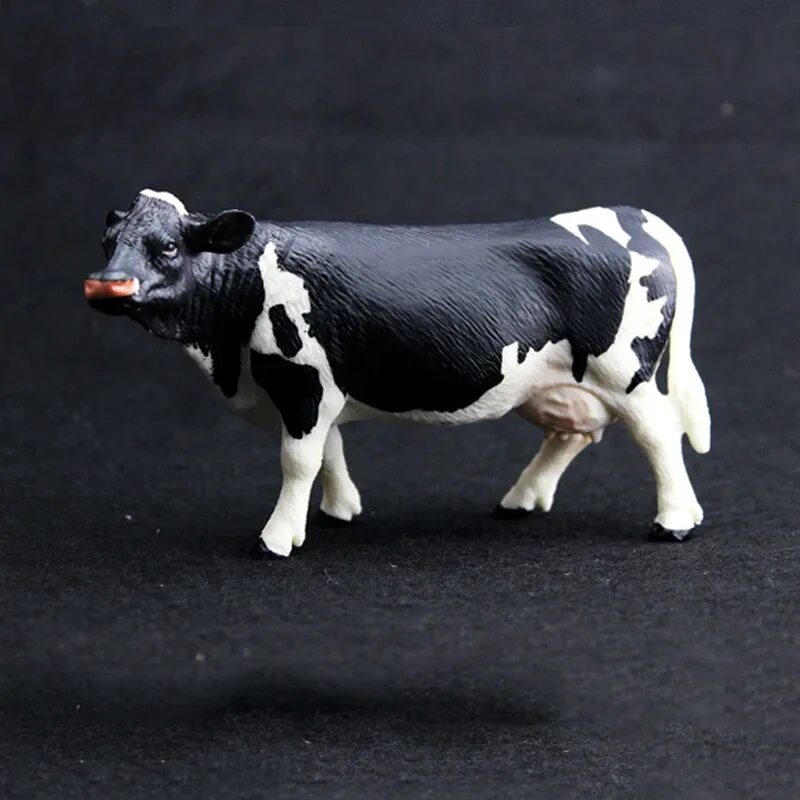 Cow model