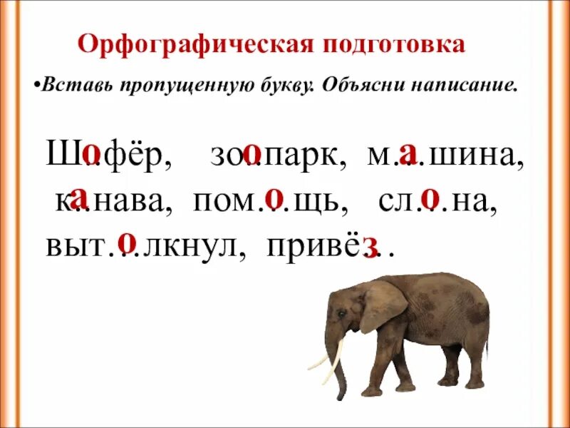 Изложение про слона. Слон по русскому языку 1 класс. Изложение слон 2 класс. Вставь пропущенные буквы объясни написание.