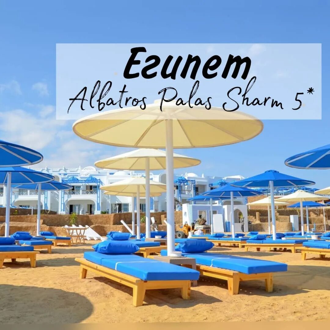 Фан сан фэмили альбатрос шарм. Fun&sun family albatros palace 5*. Фан сан фэмили альбатрос шарм. Альбатрос шарм-эль-шейх 5. Albatros palace resort 5 шарм-эль-шейх.