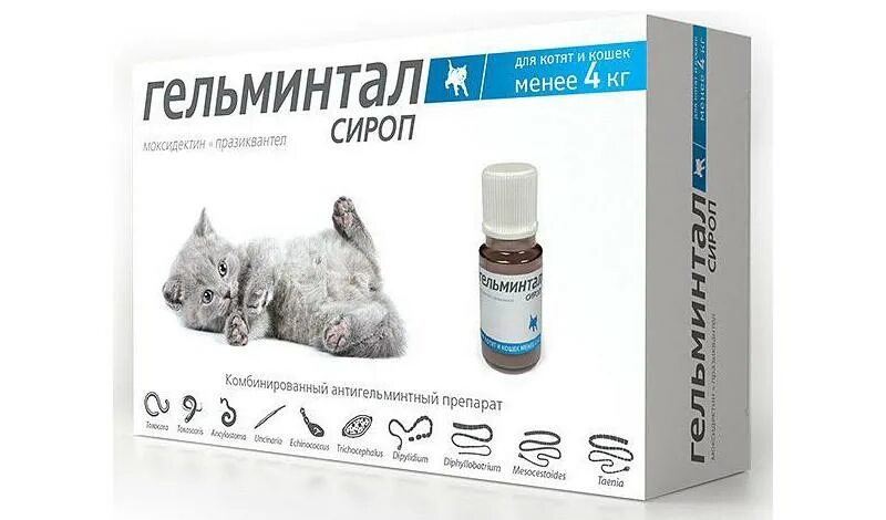 Гельминтал суспензия для щенков. Гельминтал мини сироп д/щенков и котят 10мл. Гельминтал таблетки для кошек более 4 кг. Гельминтал сироп для кошек. Гельминтал мини инструкция.