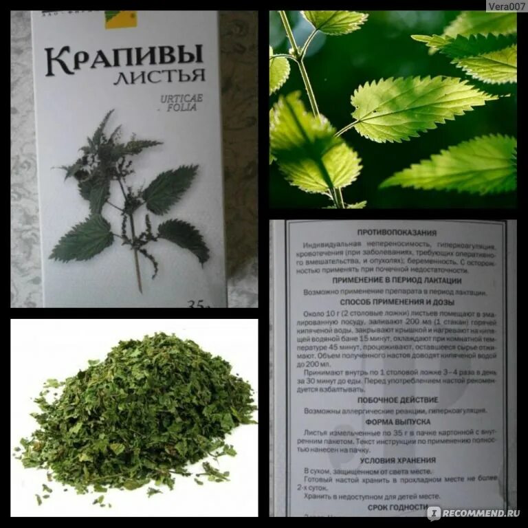 Крапива при месячных отзывы. Крапива листья (urticae Folia). Листья крапивы применение. Крапивы листья фирма здоровье. Листья крапивы в сашетах.