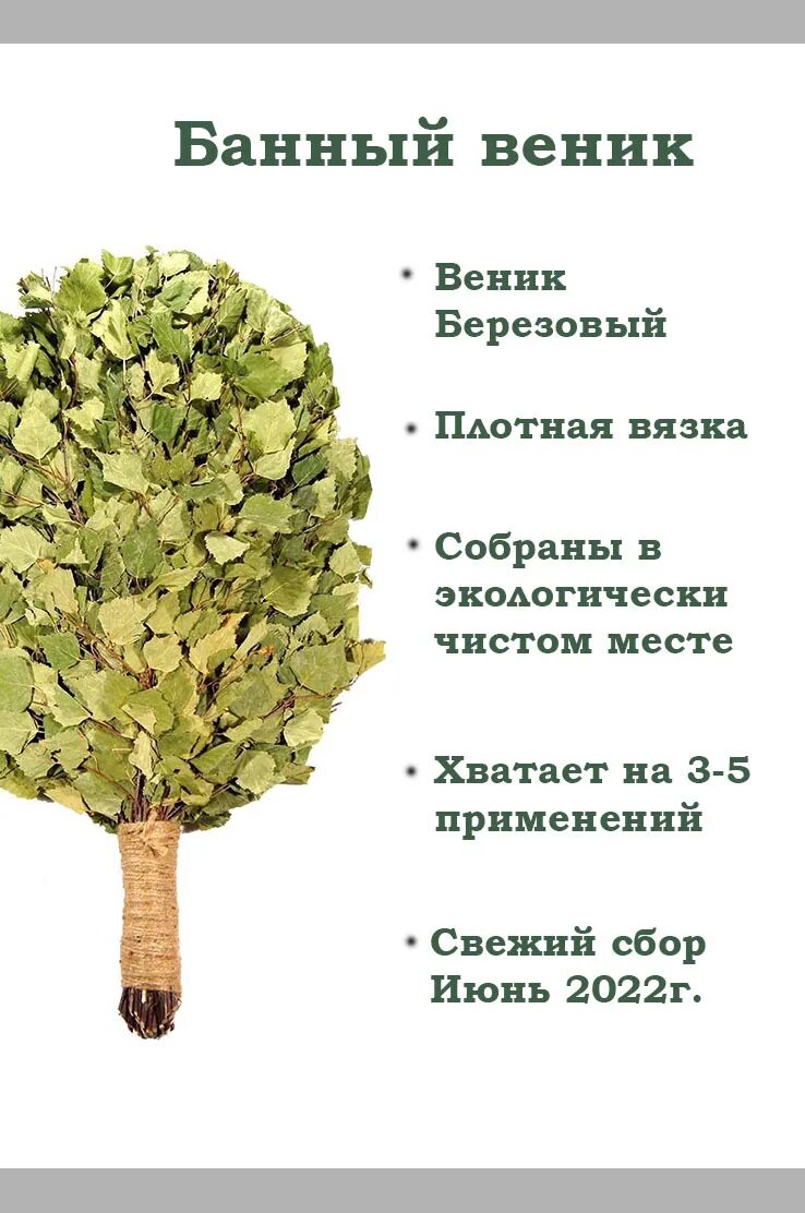 Как правильно делать веники для бани. Веник для бани. банный веник из березы. березовый веник. веник для бани береза.