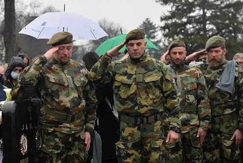Ситуация с сербскими добровольцами