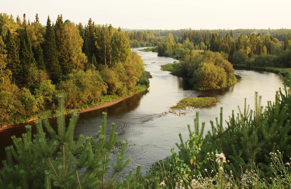 Река сосьва. Река Северная Сосьва. Река Сосьва ХМАО. Река малая Сосьва. Река Сосьва Свердловская.