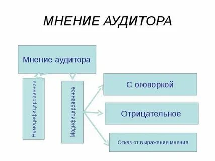 Мнение аудитора