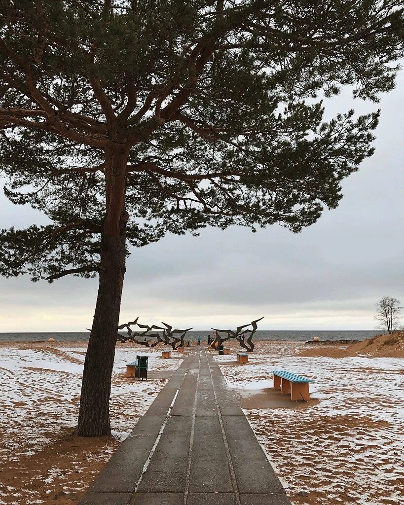 Солнечное финский залив пляж ласковый. Сестрорецк пляж ласковый. Ласковый пляж, посёлок солнечное. Солнечное Репино финский залив.