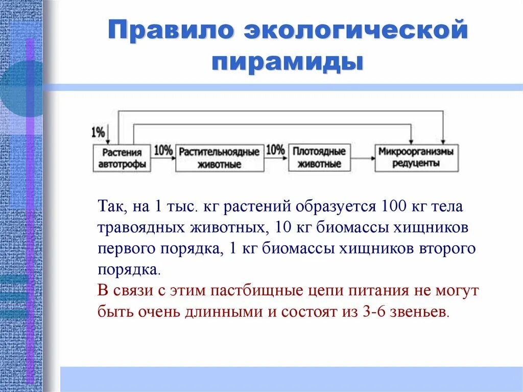 Презентация пищевые связи в экосистеме 11 класс. Правило экологической пирамиды. Правило экологическойпирамилы. Правило эколической пирамида. Экологическая пирамида прваилр.