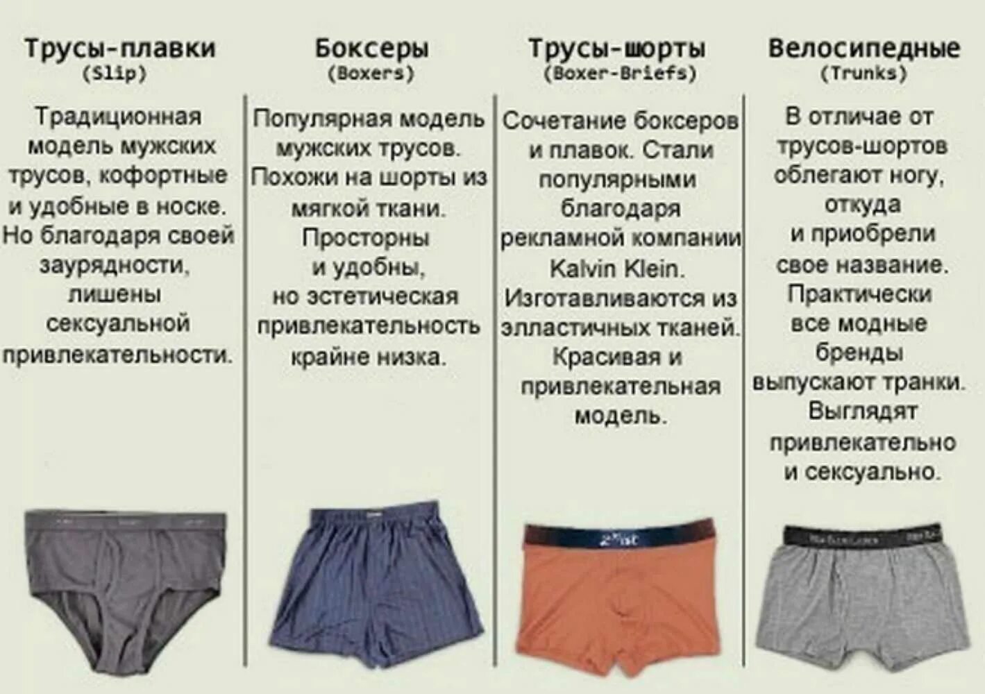Виды трусов мужских названия: найдено 77 изображений