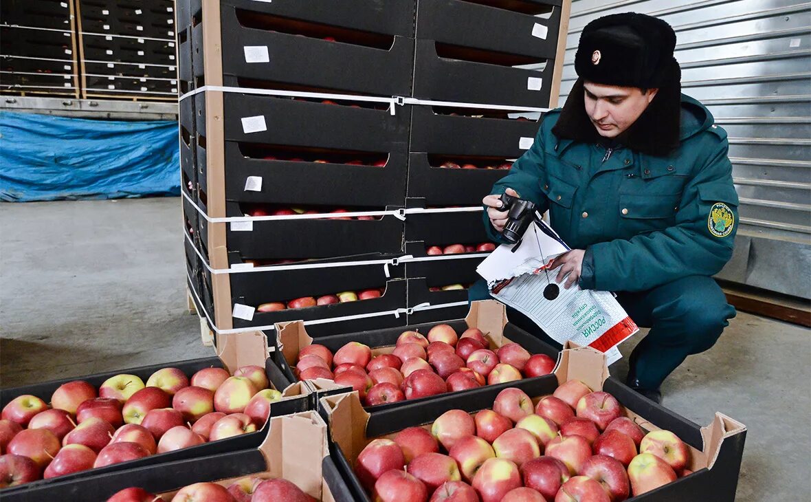 Россельхознадзор фрукты. Продовольственное эмбарго. Санкционные товары. Импорт овощей и фруктов.