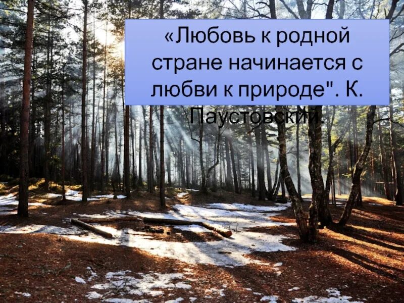 Паустовский о любви. Паустовский о природе. Любовь к родной природе. Любовь к родной стране начинается с любви к природе. Любовь к природе презентация.