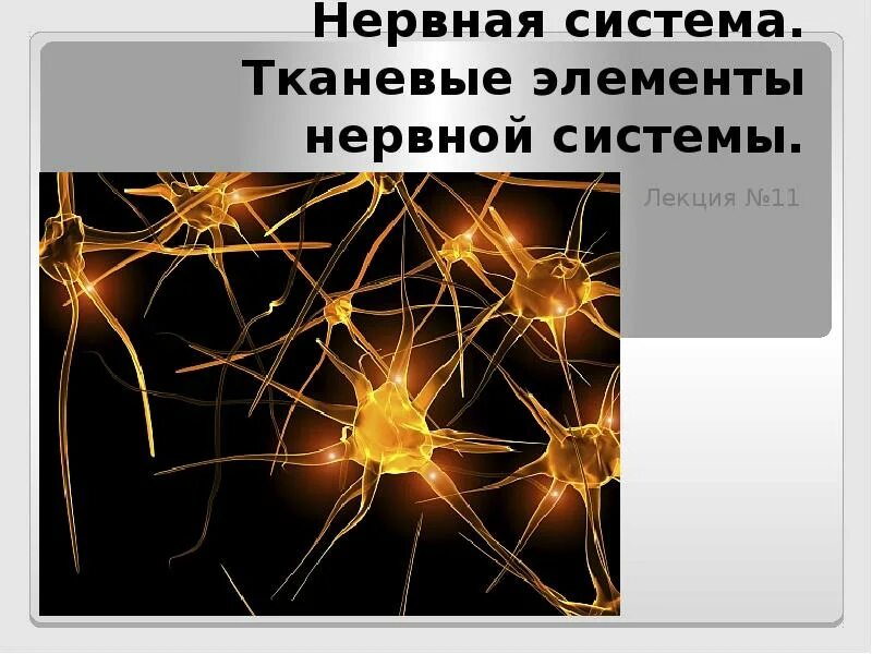 Флизелин freudenberg s 520. Отделка тканей и текстильных изделий. Учение о тканях гистология. Какие ткани образуют волокна. Схема производства ткани.