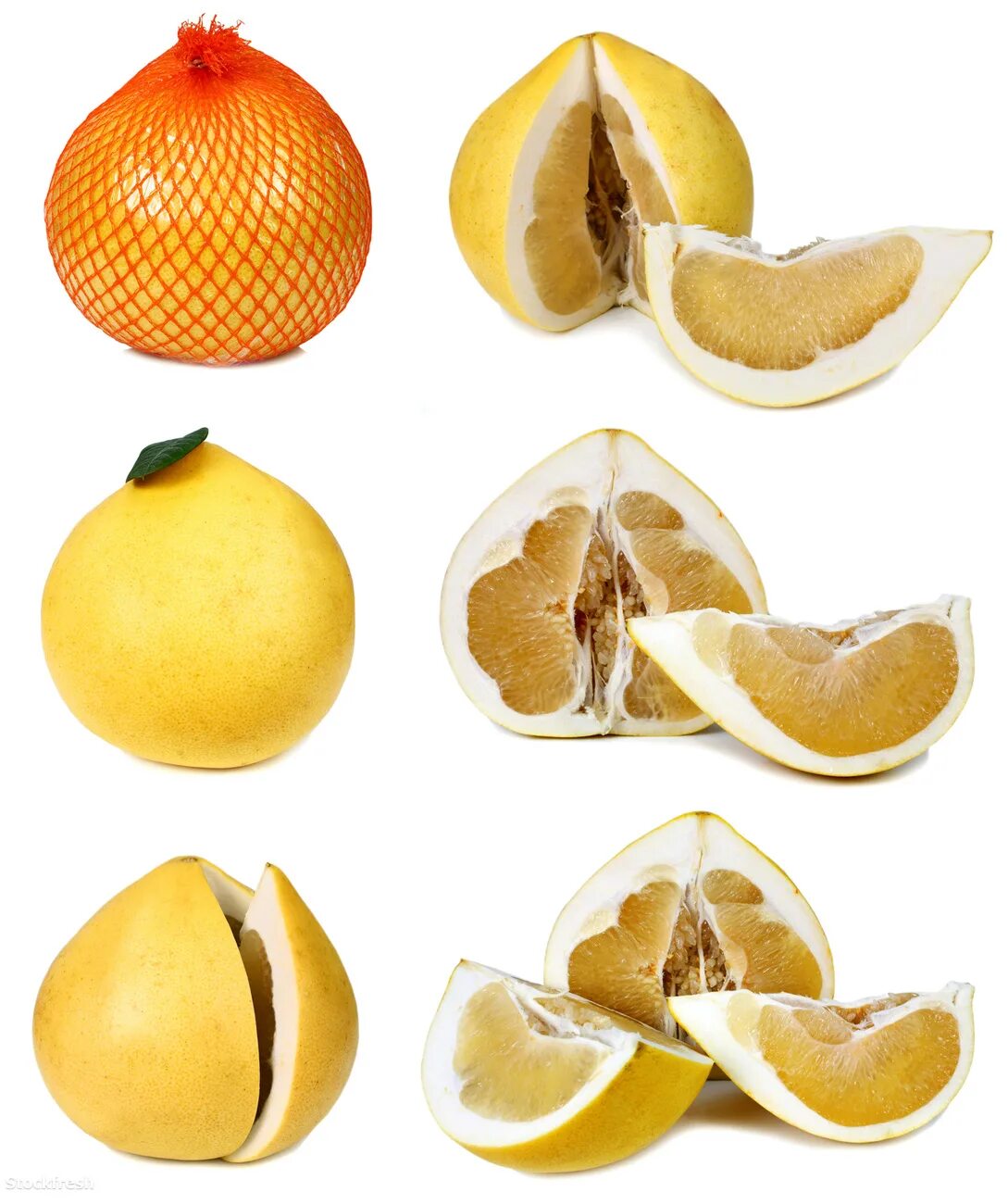 фрукт цитрус свити. помело и грейпфрут в чем разница. помело и грейпфрут. грейпфрут свити помело разница. помело апельсин грейпфрут мандарин.