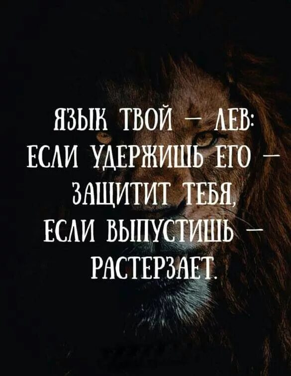 Твой язык это Лев. Твой язык твой Лев. Язык твой Лев удержишь его. Твой Лев. Лев будет твоим