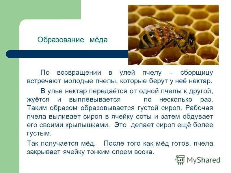 В улье 30 кг меда две пятых