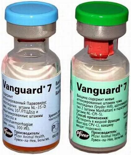 Производители вакцин для кошек. Вангард 5/l и Вангард 7. Вангард 5 вакцина для собак. Вангард 7 вакцина для собак. Вангард 7 лептоспироз.