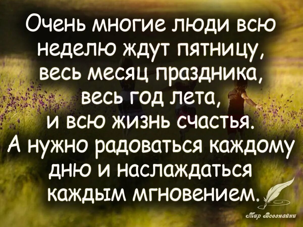 Цитата дня короткая