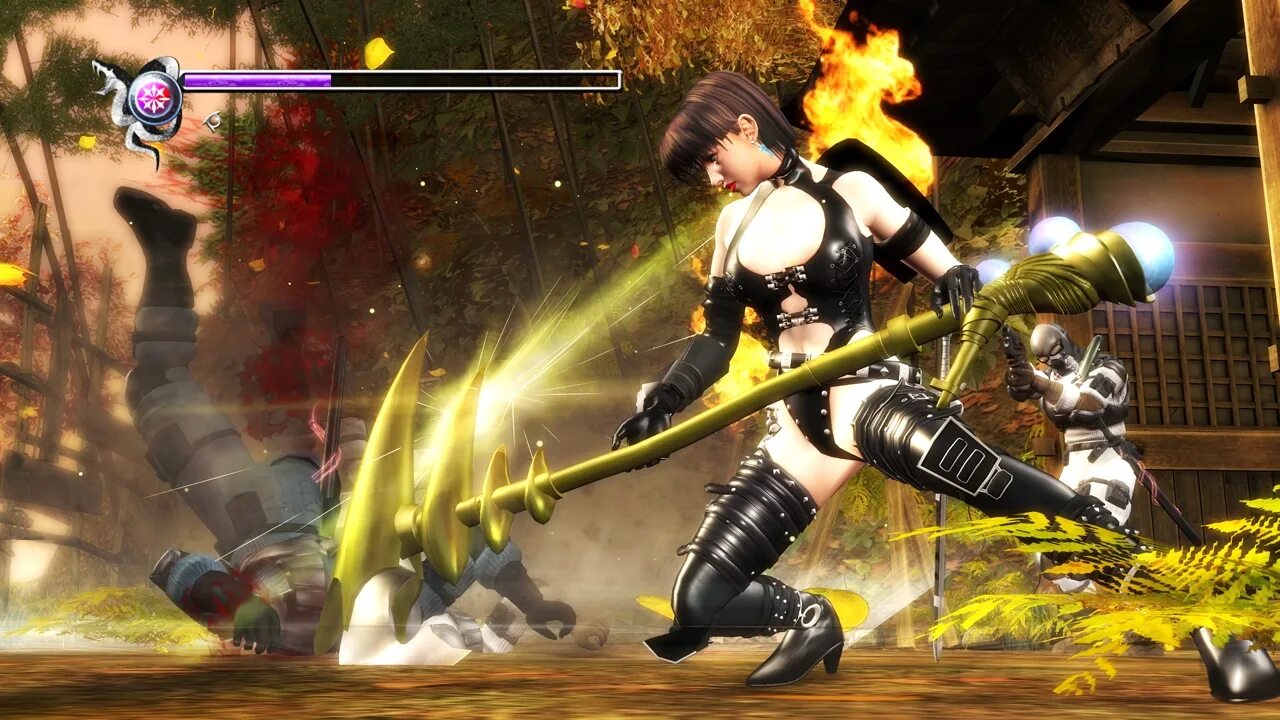 Ninja gaiden compare 2004. Black ninja игра. Ninja gaiden игра 2004. Ninja gaiden black xbox. Ninja gaiden (серия игр).