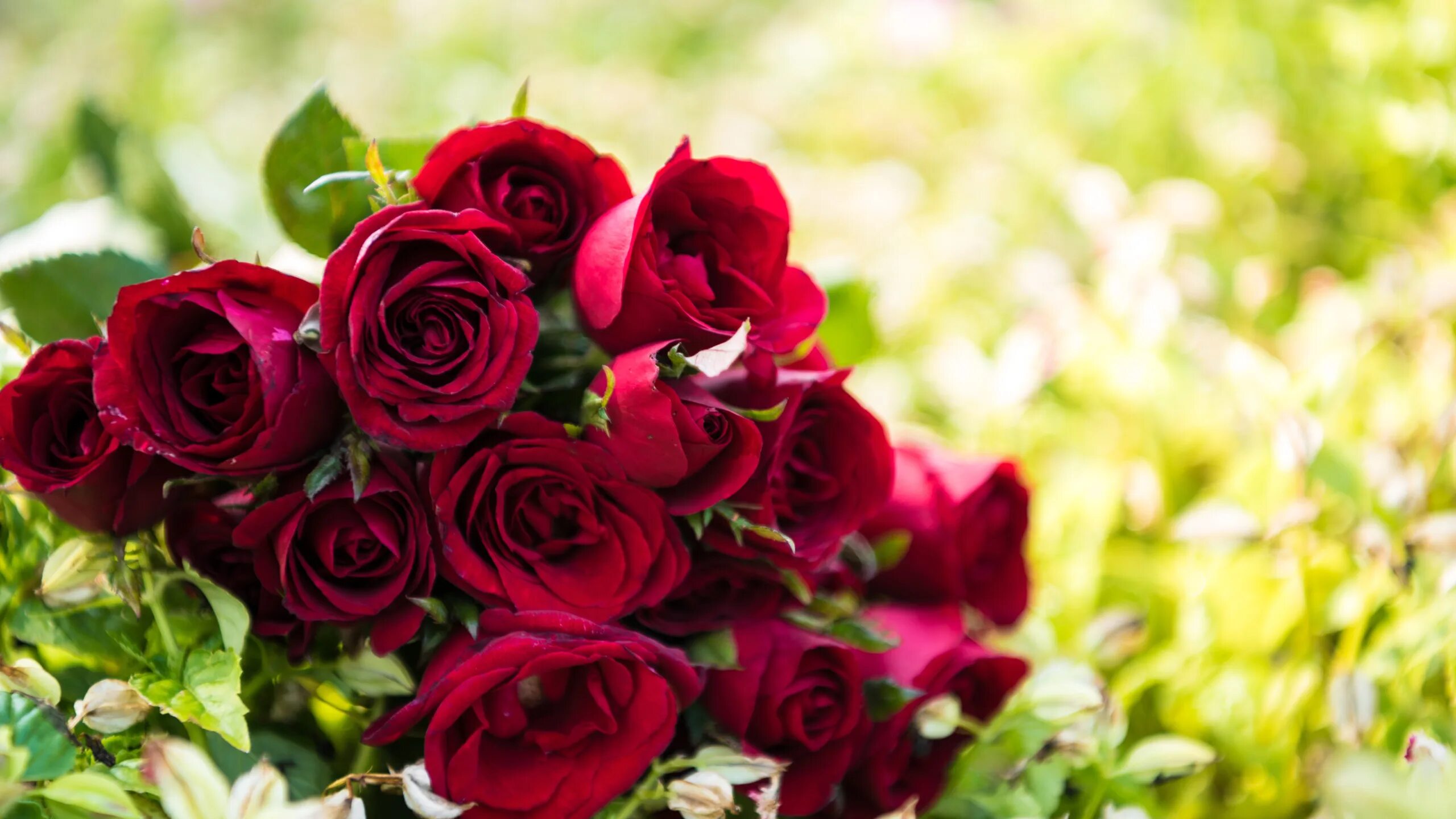 Czerwone, Róże, Serce, Miłość Wallpaper iphone roses, Red roses wallpaper, Flowe