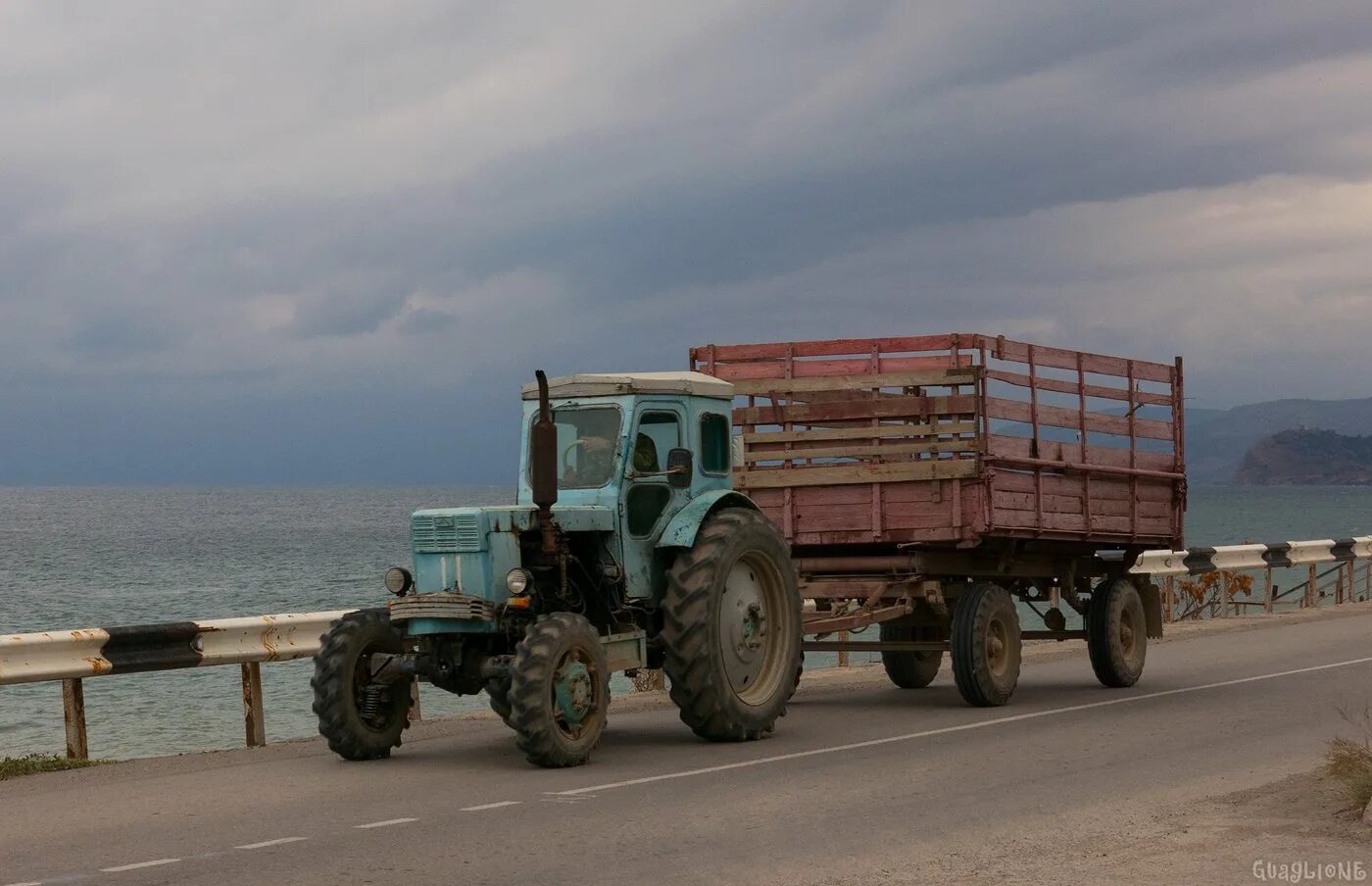 40 совхоз