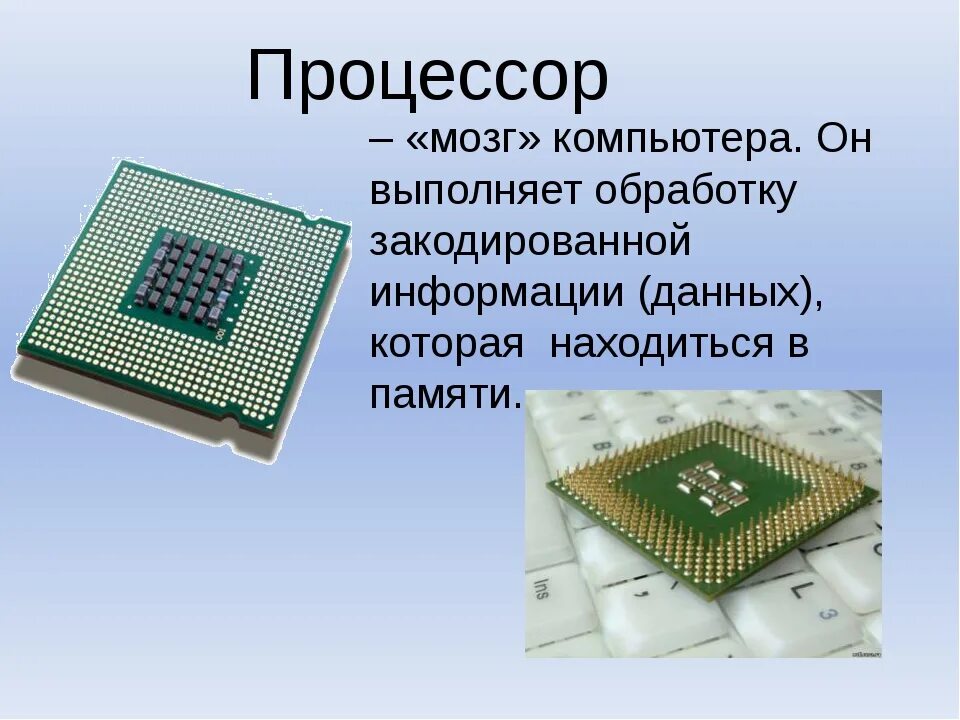 Процессор компьютера информация