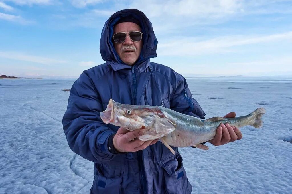Рыба в монголии. Таймень рыба. Рыба в реке онон. Рыба в монголии. Рыба в монголии.