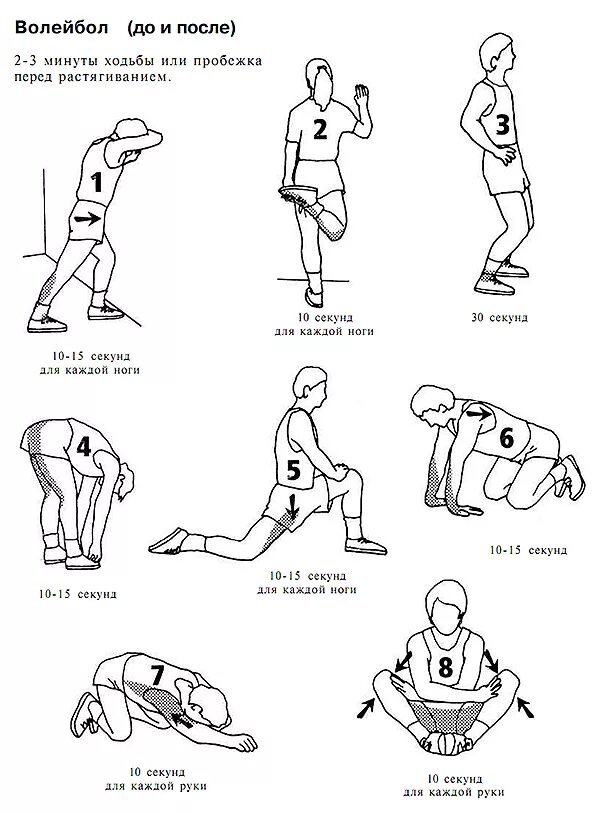 Комплекс любых упражнений. Разминочные упражнения перед тренировкой комплекс. Комплекс упражнений для разминки перед волейболом. Схема разминки перед тренировкой. Комплекс упражнений для разминки волейболиста.