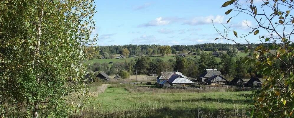 Деревня максатиха тверская область. Погода д горка. Погода д горка. Деревня горка тверская область. Деревня горки московская область.